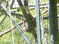 dscn0867