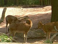 dscn0874