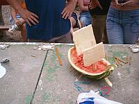 062 A pizzalap haj imm r meger s tve s bal oldali evez so