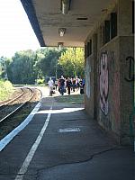 Hajni0980