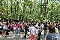 IMG 0290