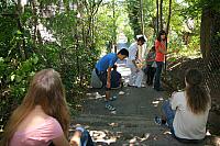 IMG 2503