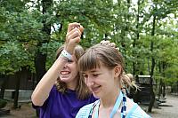 IMG 3011