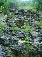 p7010438