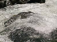 p7010479