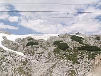 p7020539