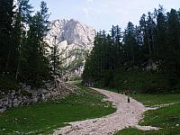 p7020606