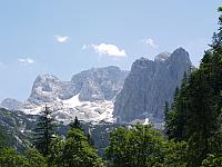 p7030639