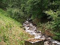 p7040672