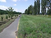 DSCF4454