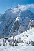 zwieselalm1