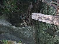 img 0300