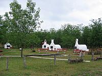 img 0324