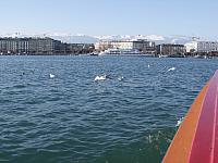DSCF8413